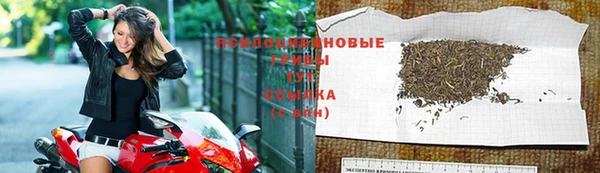 амфетамин Ельня