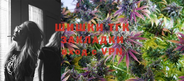 мдпв Дмитровск