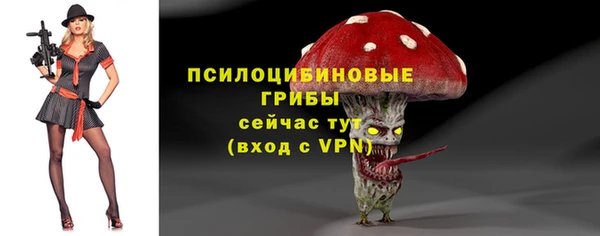 стаф Дмитров