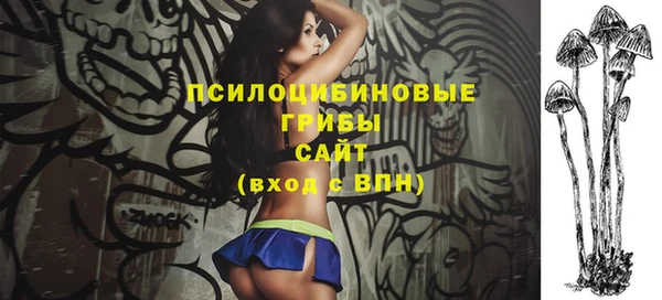 мдпв Дмитровск