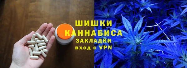 мдпв Дмитровск